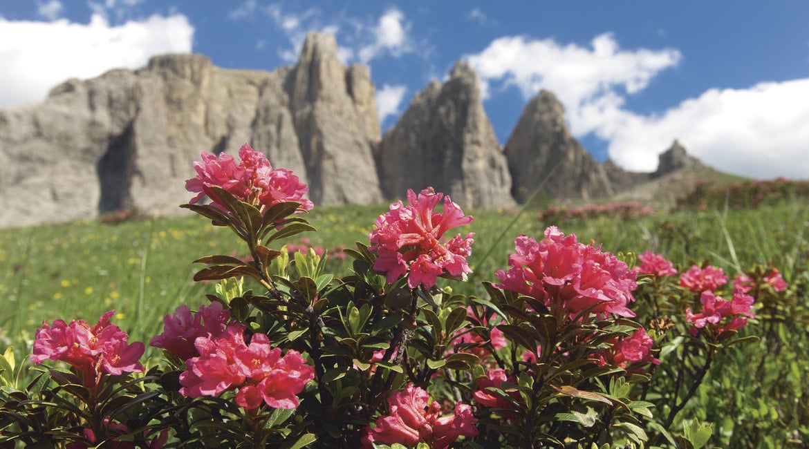 Was sind die typischen Gerüche und Düfte, Klänge und Geräusche in Südtirol?